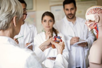 Über uns - Ärzte erklären anhand eines Modells